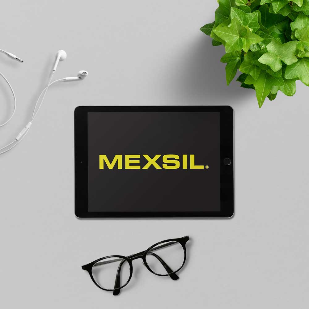 TONIC-latam-estrategia-negocio-servicios-portafolio-proyecto-MEXSIL